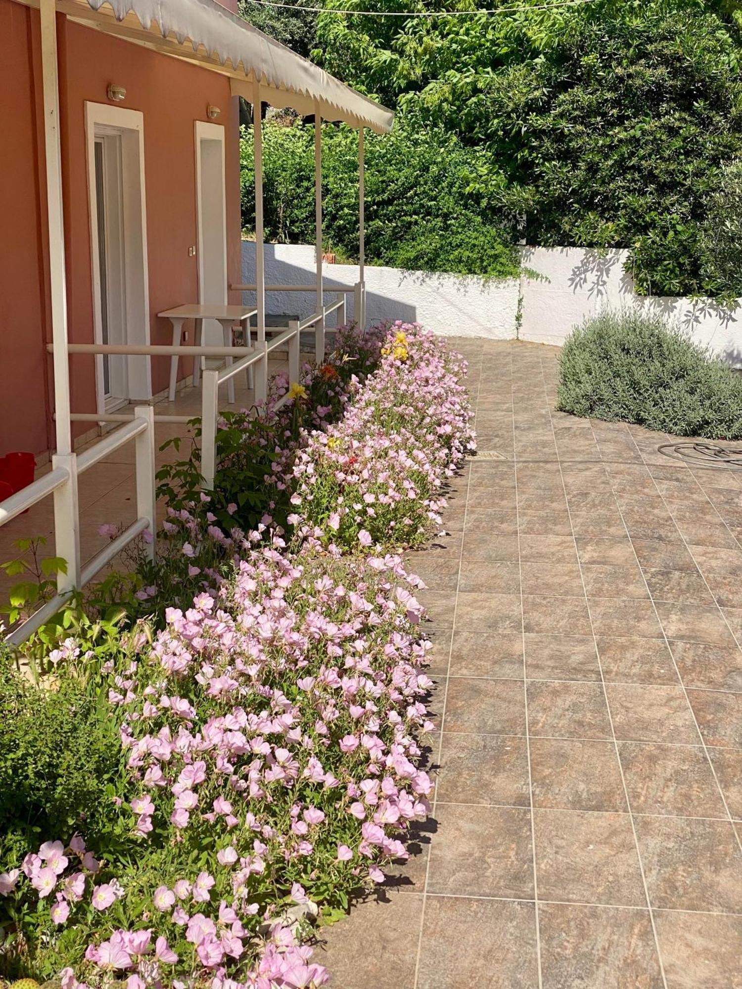 Paradiso Hotel Sea View And Pool Suites Ipsos Corfu Buitenkant foto